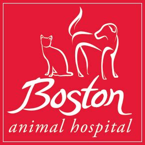 Boston animal hospital - 505 Congress Street. Boston, Massachusetts 02210. TEL: 857.362.8672. FAX: 857.998.6272. Clinic Hours. Monday-Thursday: 8:00am–7pm. Friday: 8:00am–7pm. Saturday: 8:00am–3pm, every other Saturday starting 11.24. …